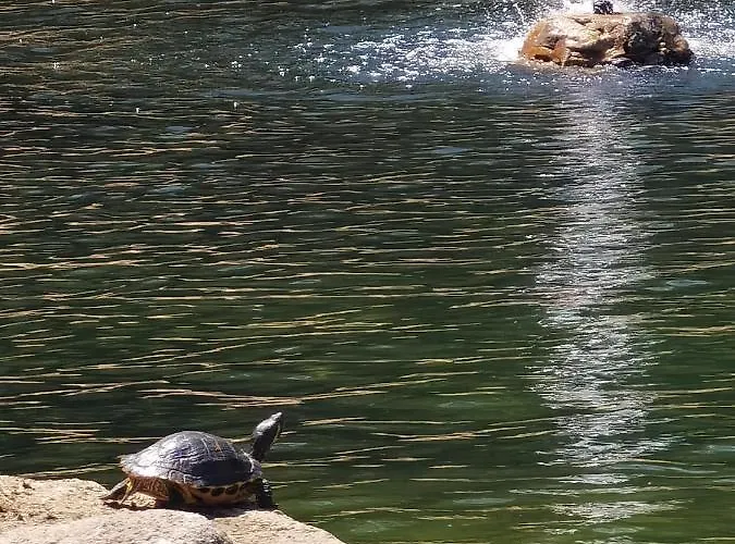 Lägenhet Holiday Apartment Torrevieja